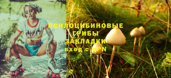 героин Няндома