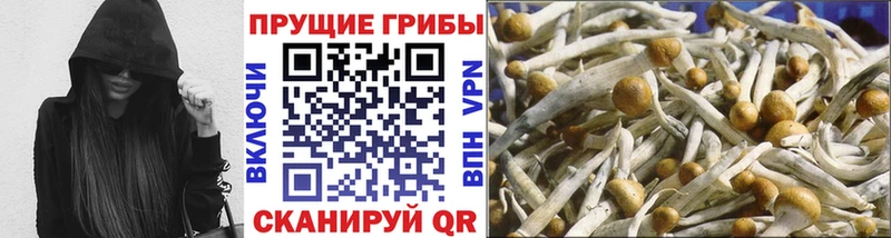 что такое наркотик  Юхнов  Псилоцибиновые грибы MAGIC MUSHROOMS 